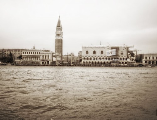 Alinari at Venice