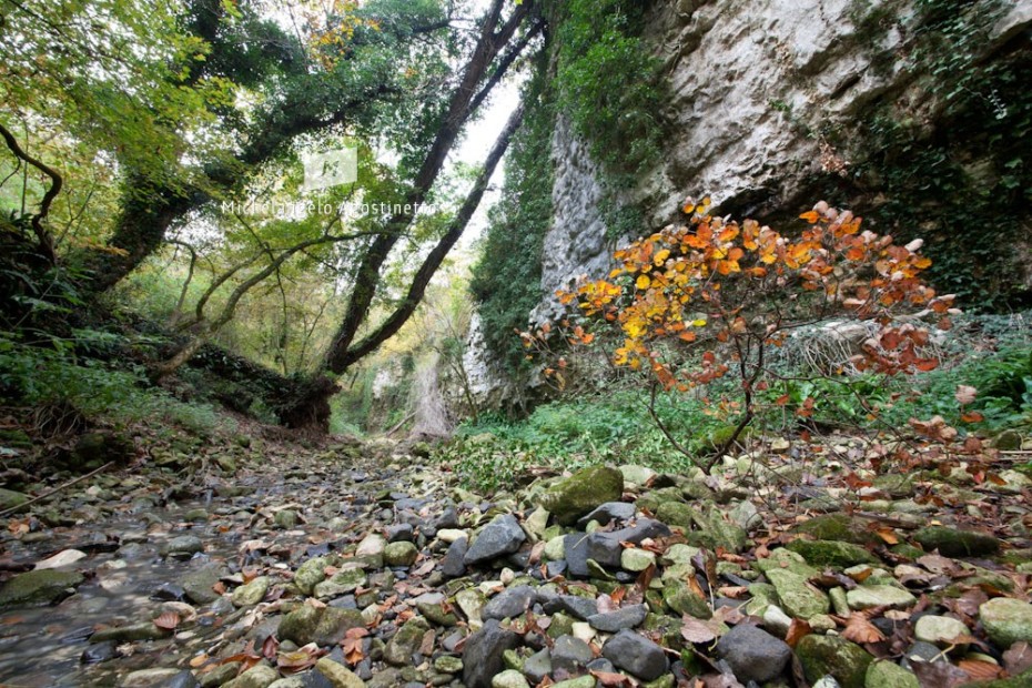 nature in valborago