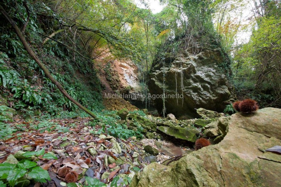 nature in valborago