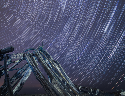 StarTrail 120minutes