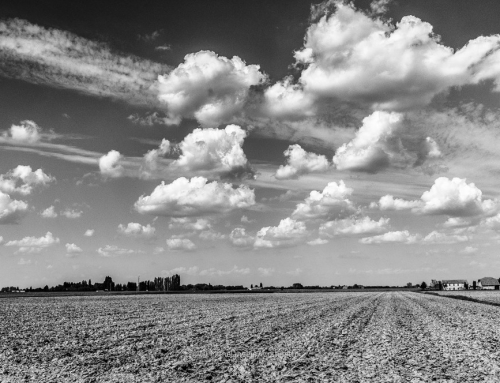 BW landscapes