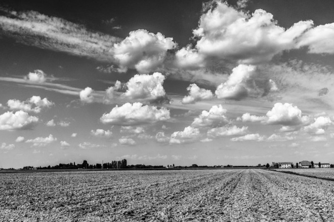 monocrome comacchio