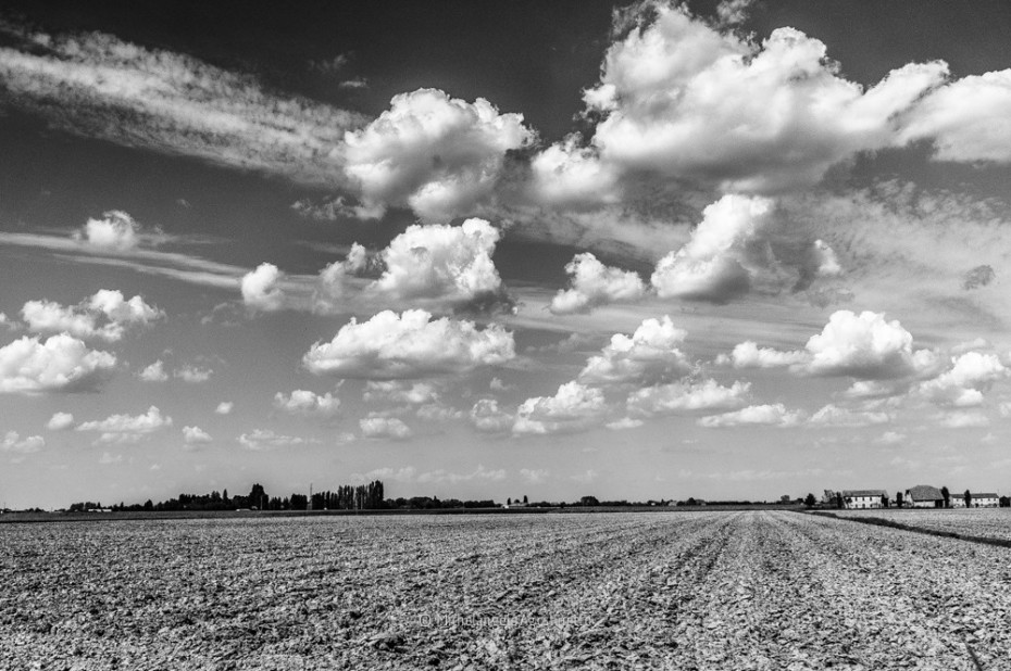 monocrome comacchio