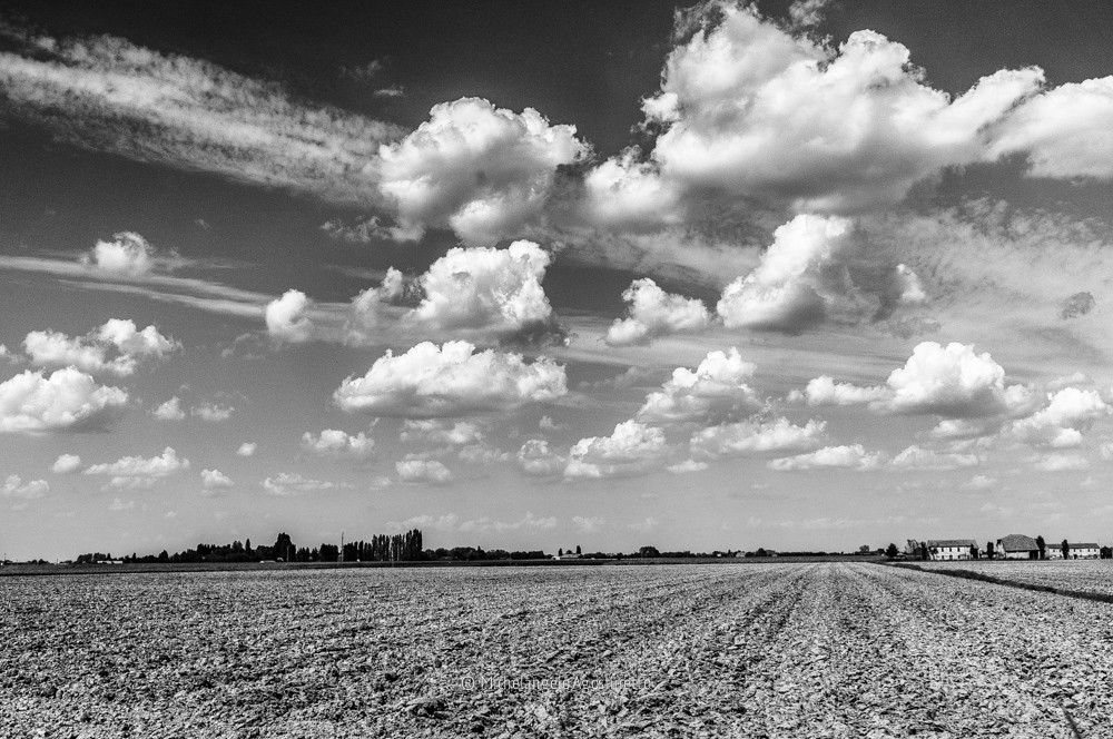 monocrome comacchio