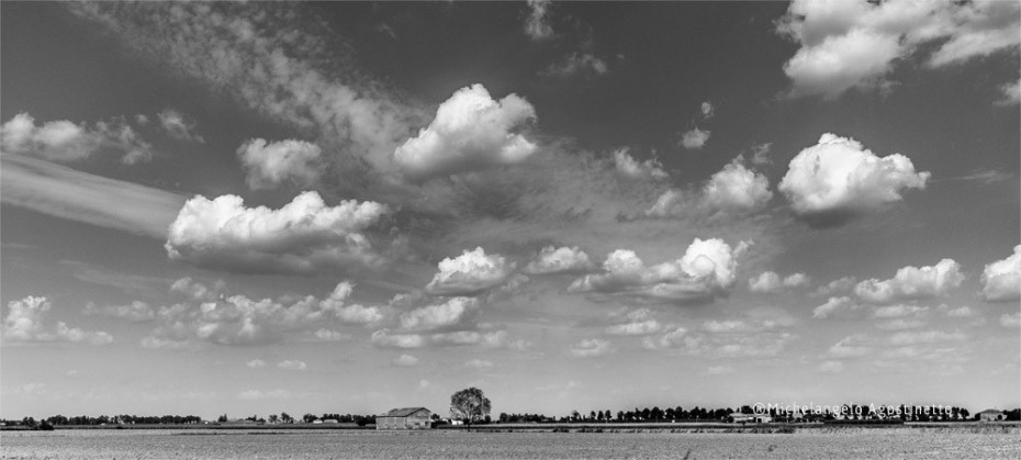 monocrome comacchio