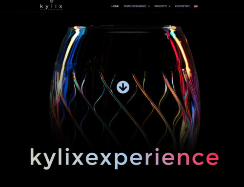 Kylixexperience WebSite